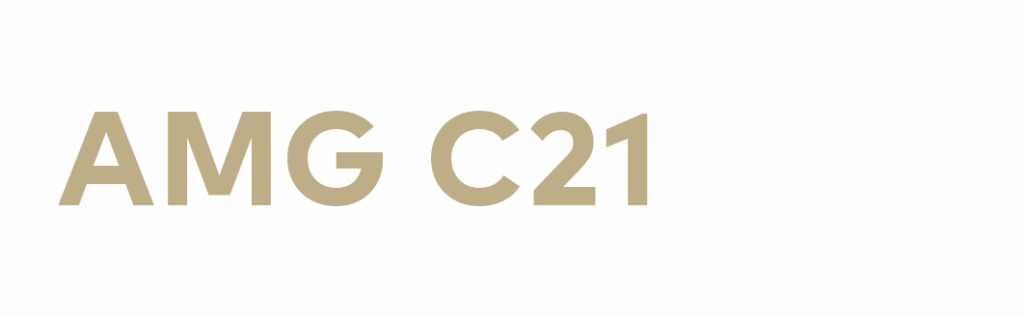 Trabajar en inmobiliaria 14 LOGO AMG C21