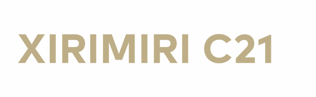 Trabajar en inmobiliaria 20 LOGO XIRIMIRI C21
