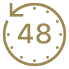icons8 48 horas 100